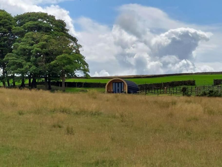 High Whashton Springs Glamping Pod, Richmond Yorks Apartman Kültér fotó